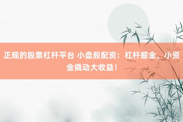 正规的股票杠杆平台 小盘股配资：杠杆掘金，小资金撬动大收益！
