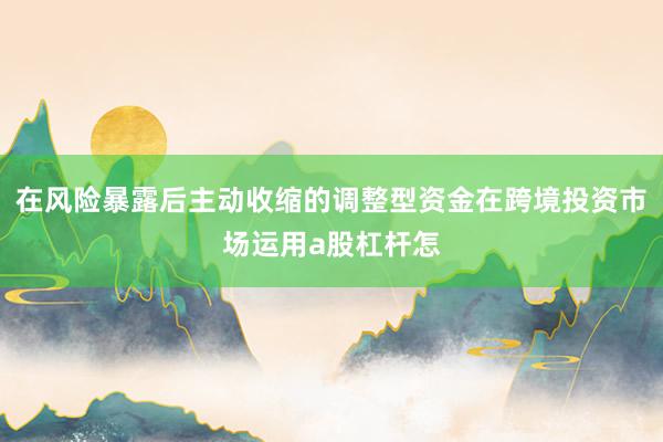 在风险暴露后主动收缩的调整型资金在跨境投资市场运用a股杠杆怎