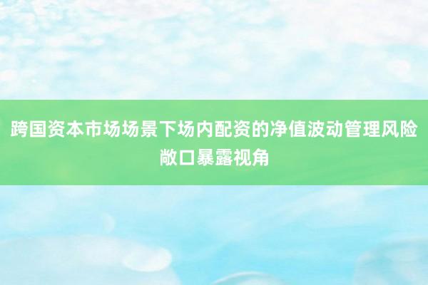 跨国资本市场场景下场内配资的净值波动管理风险敞口暴露视角