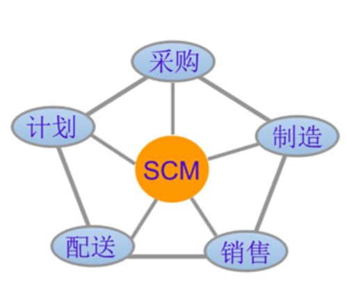 SCM系统