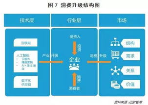 双11你在买买买,别人看到的却是背后的投资机会